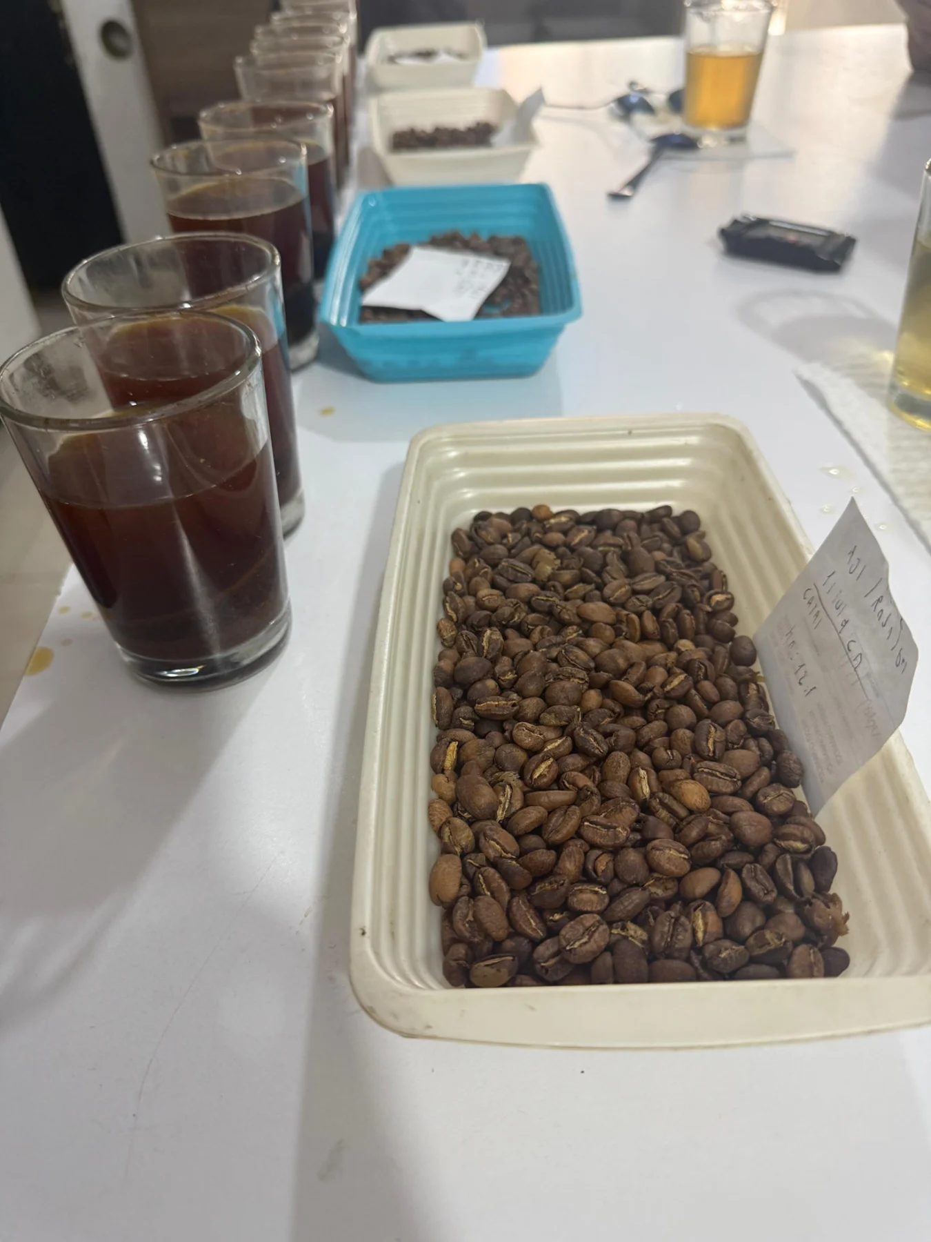 Real coffee samples being evaluated at the cupping table